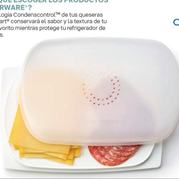 Tupperware Other - CHEESMART RECTANGULAR BAJA